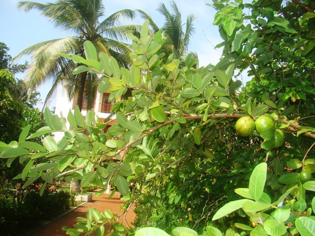 Bentota Homes Exterior foto